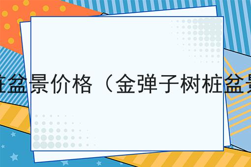 金弹子树桩盆景价格（金弹子树桩盆景价格表）