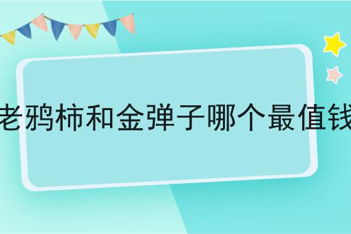 老鸦柿和金弹子哪个最值钱