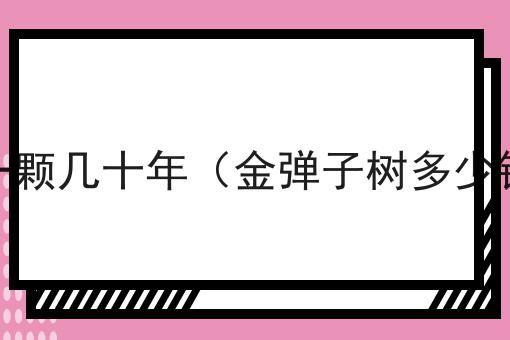 金弹子树多少钱一颗几十年（金弹子树多少钱一颗几十年的）