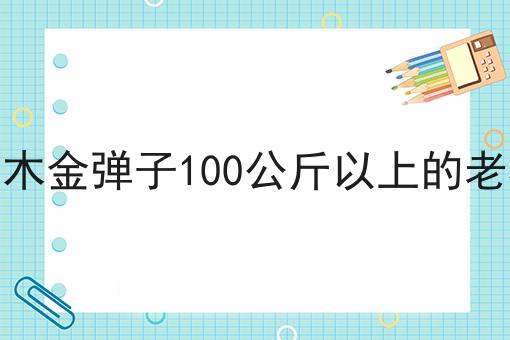 灌木金弹子100公斤以上的老桩