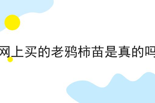 网上买的老鸦柿苗是真的吗