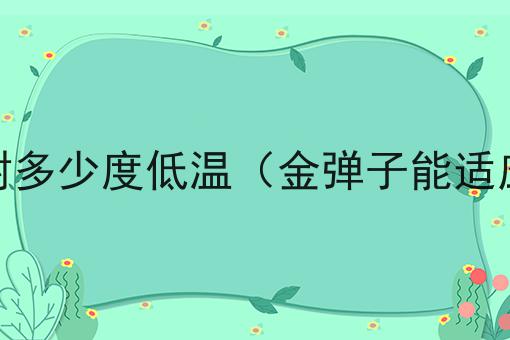 金弹子能耐多少度低温（金弹子能适应的温度）