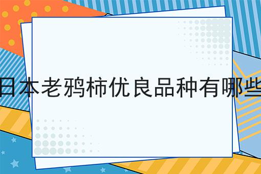 日本老鸦柿优良品种有哪些