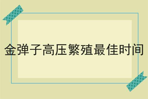 金弹子高压繁殖最佳时间