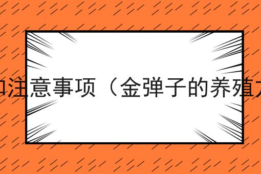 金弹子的养殖方法和注意事项（金弹子的养殖方法和注意事项一）