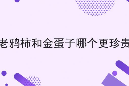 老鸦柿和金蛋子哪个更珍贵