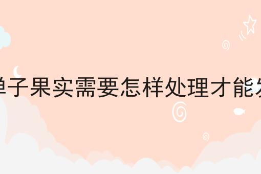 金弹子果实需要怎样处理才能发芽