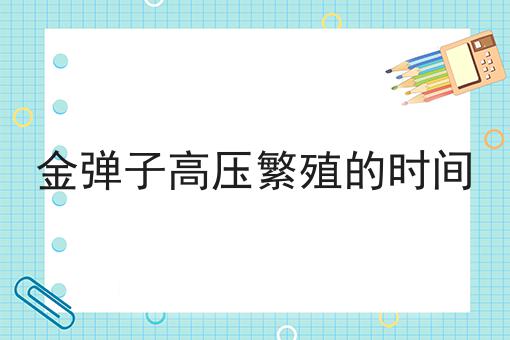 金弹子高压繁殖的时间