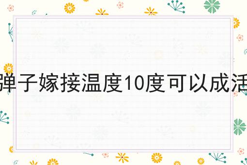 金弹子嫁接温度10度可以成活吗