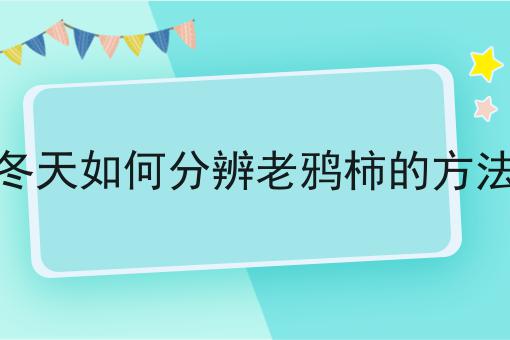 冬天如何分辨老鸦柿的方法