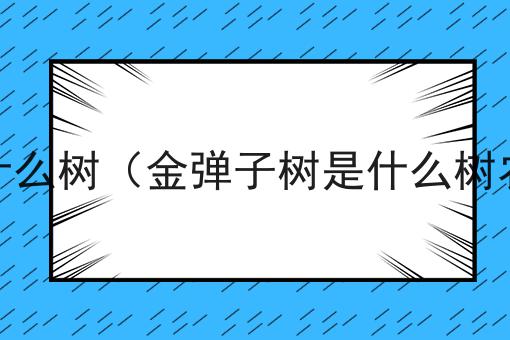 金弹子在农村叫什么树（金弹子树是什么树农村叫什么名字）