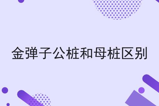 金弹子公桩和母桩区别