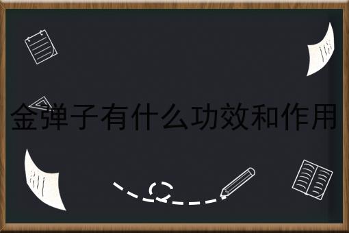 金弹子有什么功效和作用