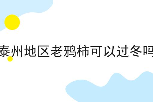 泰州地区老鸦柿可以过冬吗