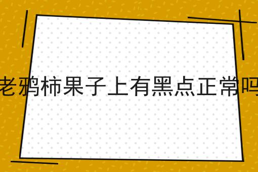 老鸦柿果子上有黑点正常吗