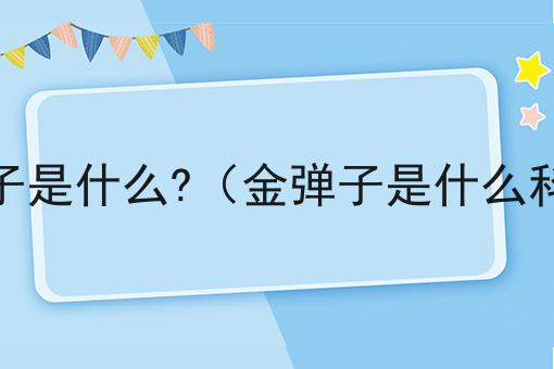 金弹子是什么?（金弹子是什么科属）