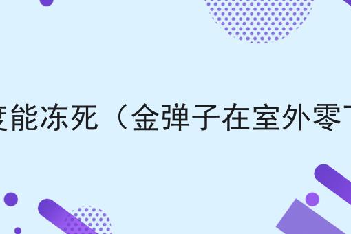 金弹子零下多少度能冻死（金弹子在室外零下10度能过冬吗）