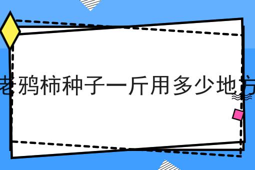 老鸦柿种子一斤用多少地方