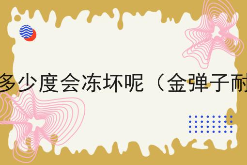 金弹子耐寒零下多少度会冻坏呢（金弹子耐寒温度是多少）