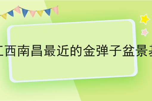 离江西南昌最近的金弹子盆景基地