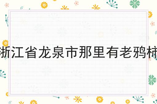 浙江省龙泉市那里有老鸦柿