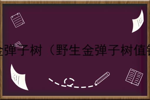 野生金弹子树（野生金弹子树值钱吗）