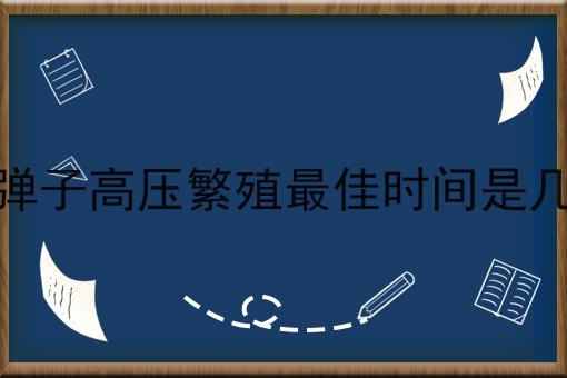 金弹子高压繁殖最佳时间是几月