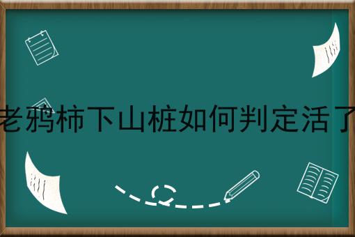 老鸦柿下山桩如何判定活了