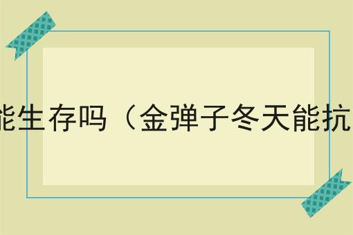 金弹子在零下5度能生存吗（金弹子冬天能抗零下多少度低温）