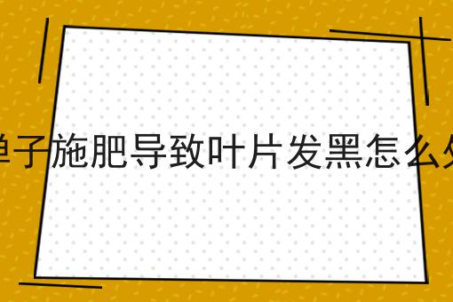 金弹子施肥导致叶片发黑怎么处理