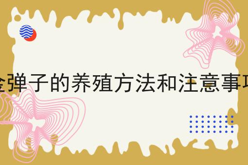 金弹子的养殖方法和注意事项