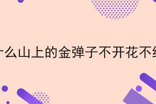 为什么山上的金弹子不开花不结果