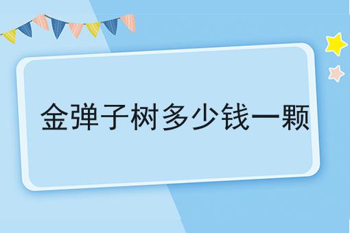 金弹子树多少钱一颗