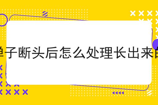 金弹子断头后怎么处理长出来的枝