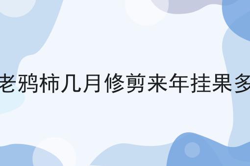 老鸦柿几月修剪来年挂果多