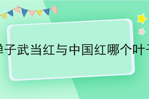 金弹子武当红与中国红哪个叶子亮