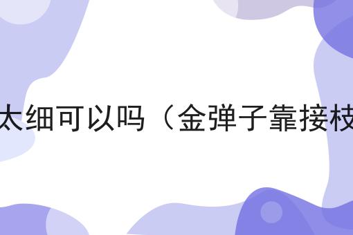 金弹子靠接枝条太细可以吗（金弹子靠接枝条太细可以吗）