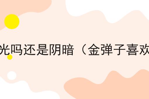 金弹子喜欢阳光吗还是阴暗（金弹子喜欢阳光暴晒吗）