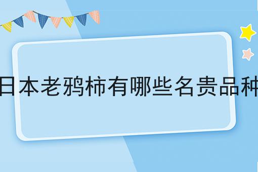 日本老鸦柿有哪些名贵品种