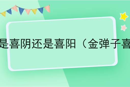 金弹子是喜阴还是喜阳（金弹子喜阴吗）