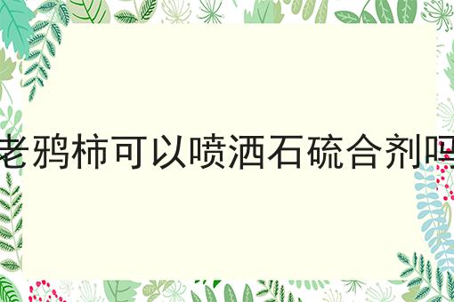 老鸦柿可以喷洒石硫合剂吗