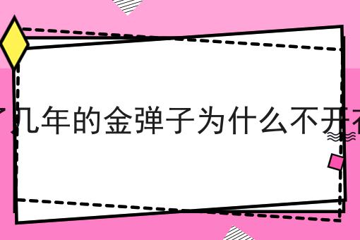 栽了几年的金弹子为什么不开花呢