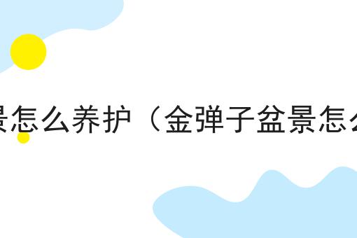 金弹子树盆景怎么养护（金弹子盆景怎么养护常识）