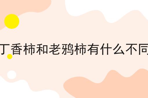 丁香柿和老鸦柿有什么不同