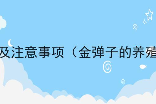 金弹子的养殖方法及注意事项（金弹子的养殖方法及注意事项）