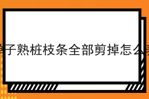 金弹子熟桩枝条全部剪掉怎么养护