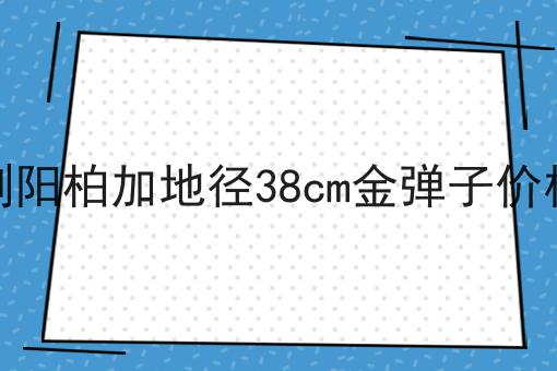 浏阳柏加地径38cm金弹子价格