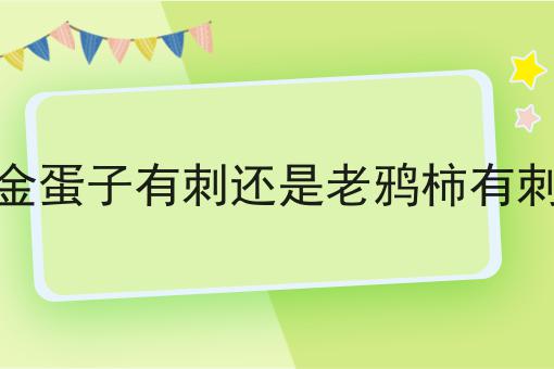 金蛋子有刺还是老鸦柿有刺