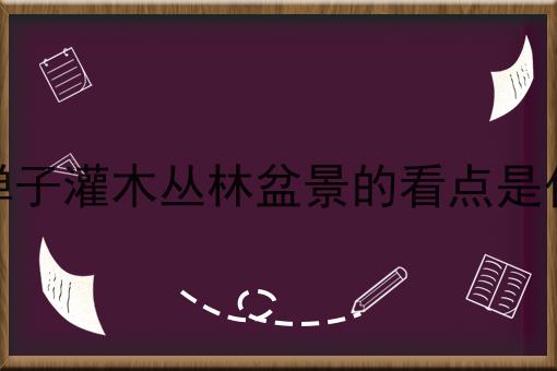 金弹子灌木丛林盆景的看点是什么