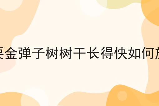 想要金弹子树树干长得快如何施肥